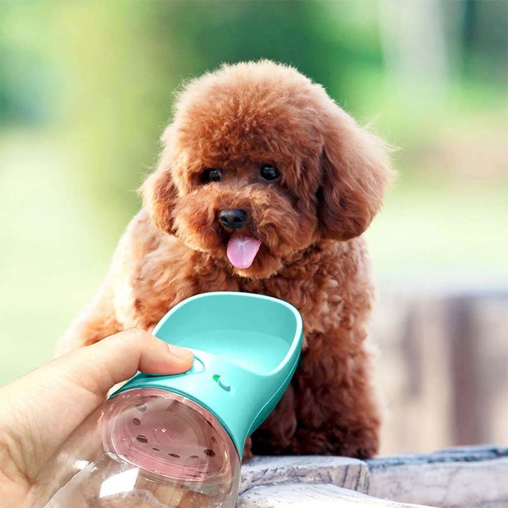 Portable Pet Drinking Fountain