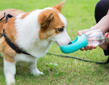 Portable Pet Drinking Fountain